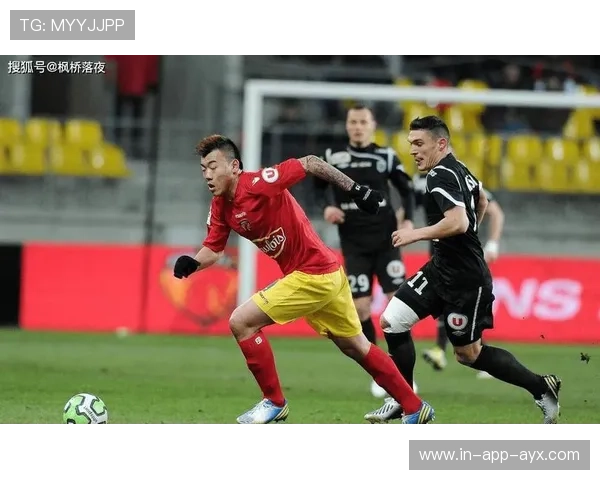 巴西后腰体系稳固,防守端表现极其可靠