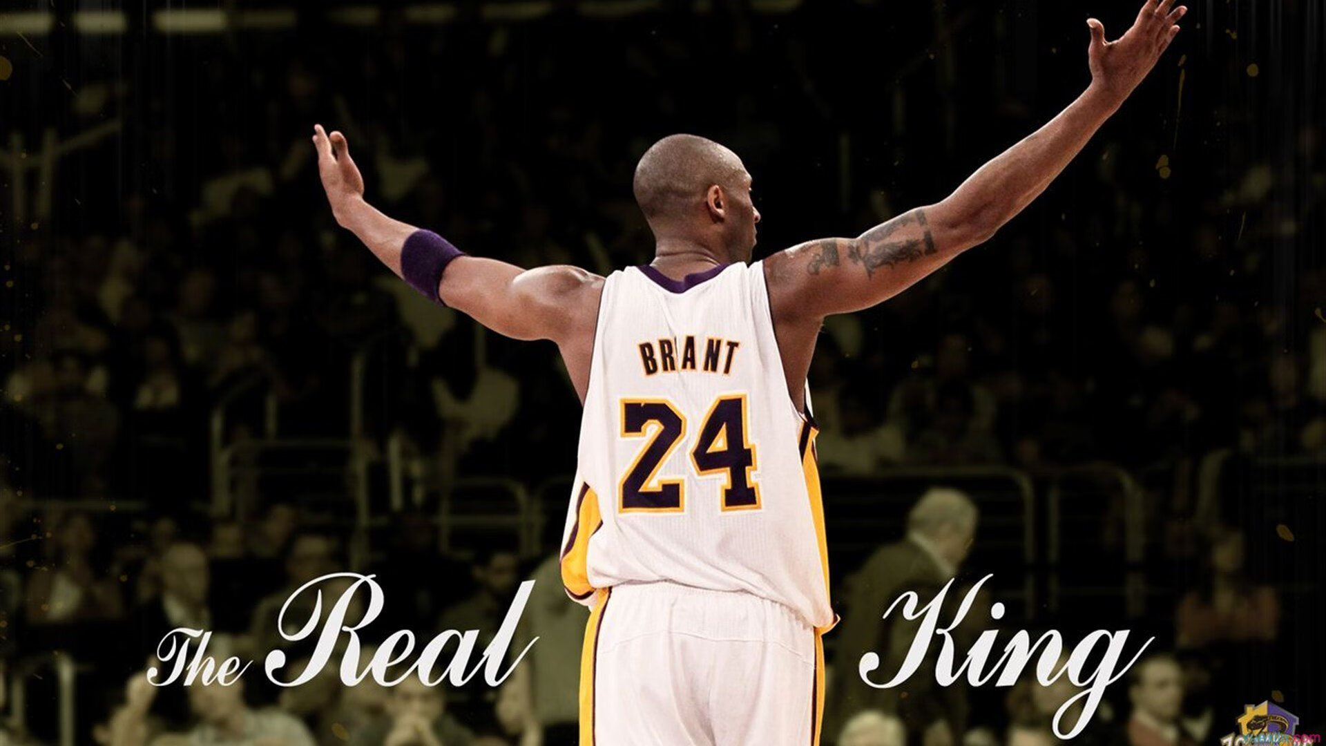 “神级”助攻盘点：本轮比赛的华丽互动，助攻集锦